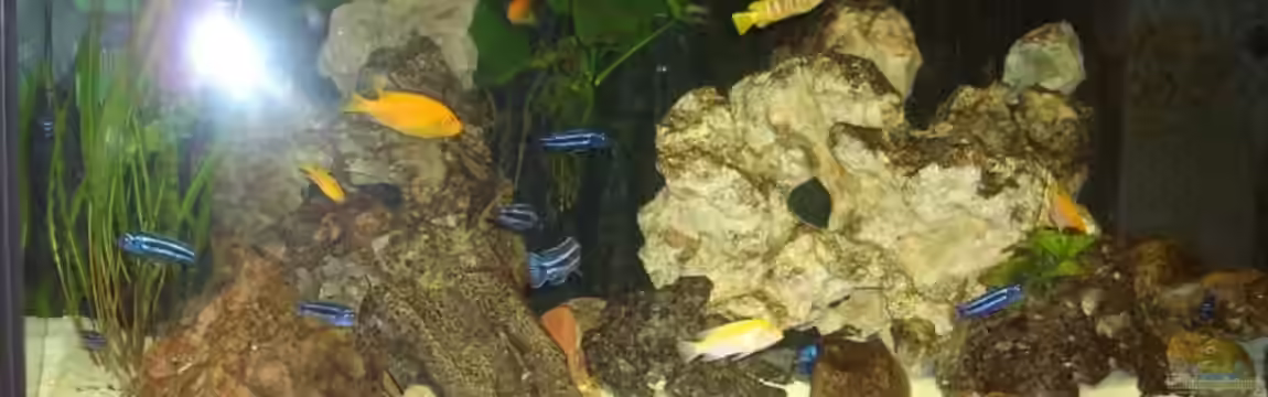 Becken 6160 von Holger Wegner