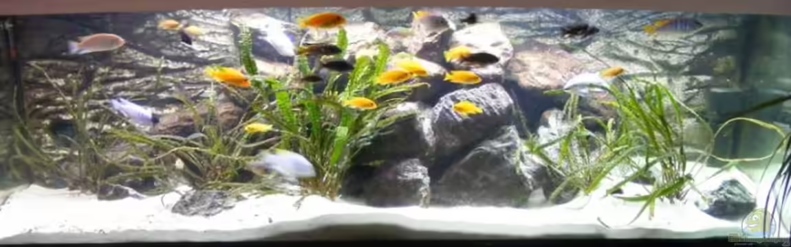 Becken 6207 von Mike Hügi