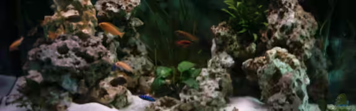 Becken 621 von Matthias Schott