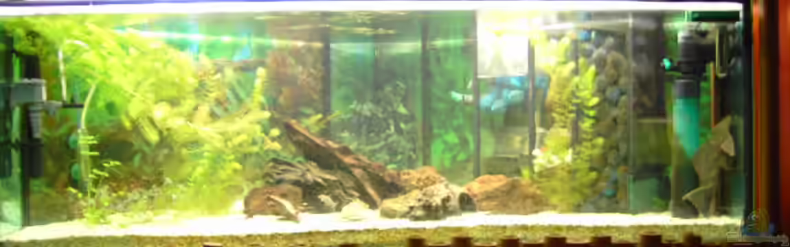 Becken 6214 von Stephan Schmidt