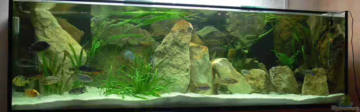 Becken 6243 von Christian Klar