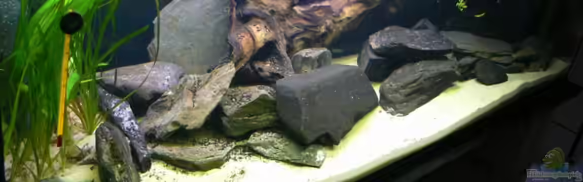 Becken 6291 von René Leubecher