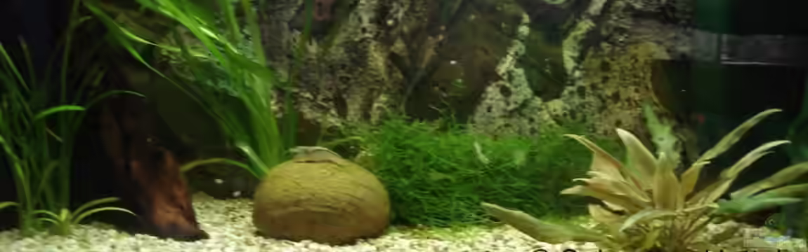 Becken 6304 von Sebastian Hattel