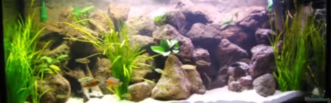 Becken 6314 von Stefan Lorenz