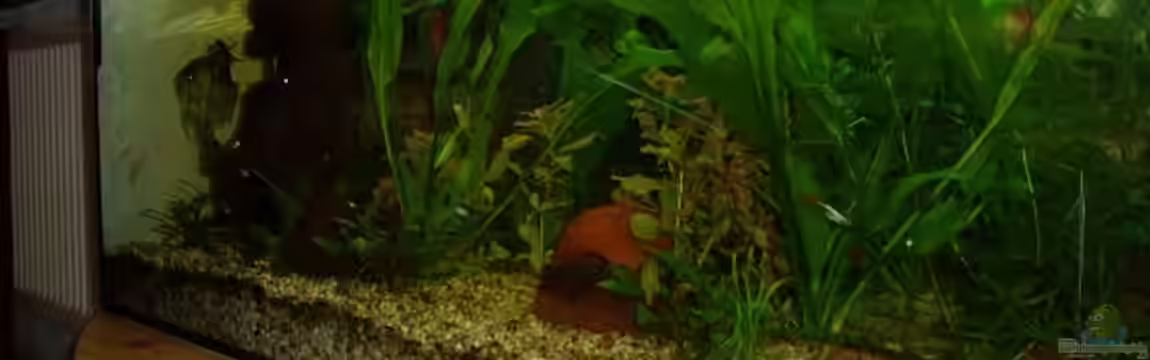 Becken 634 von Felix Roedl