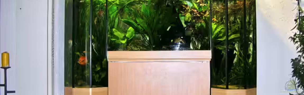 Becken 6357 von Werner Buntin