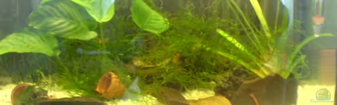 Becken 6397 von Andreas Kraft