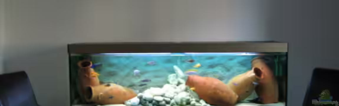 Becken 64 von Caroline Palgen