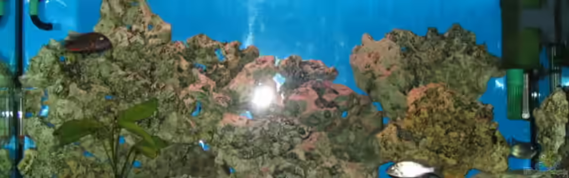 Becken 641 von Lars Müller