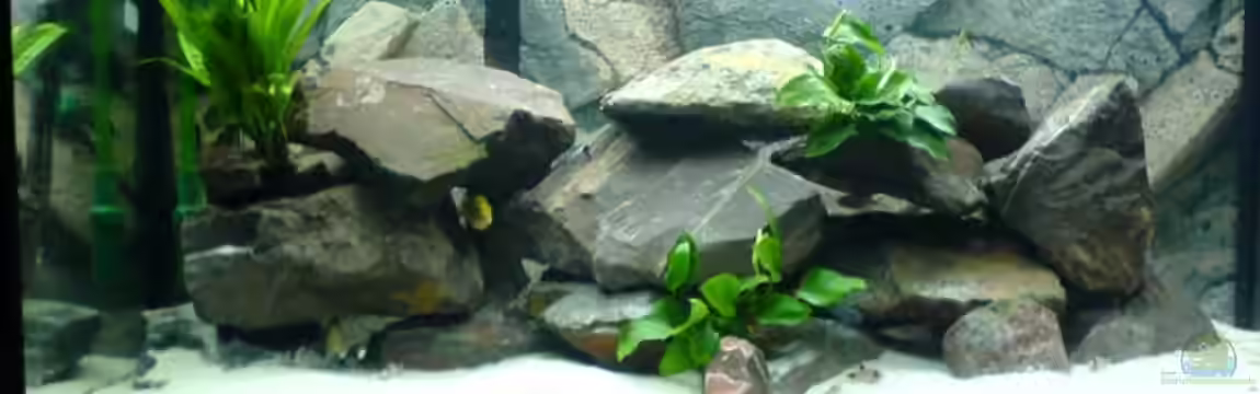 Becken 6439 von Eric Jost