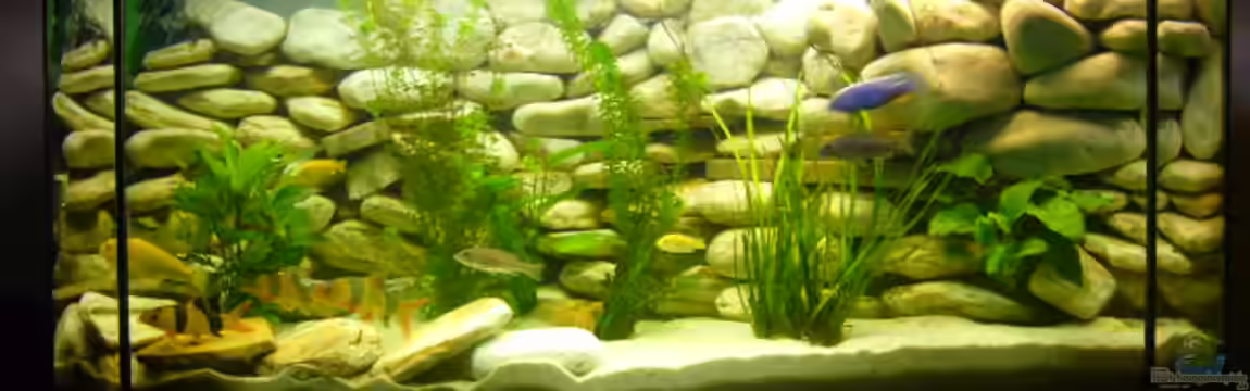 Becken 6445 von Holger Müller