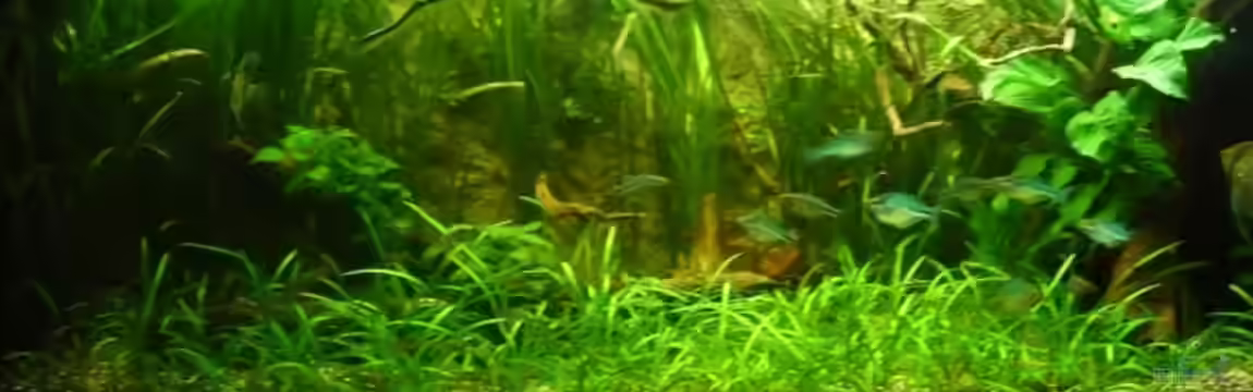 Becken 6467 von Reiner Pollak