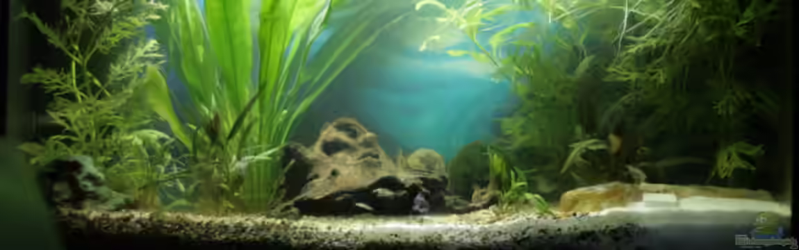 Becken 6471 von Ken M.