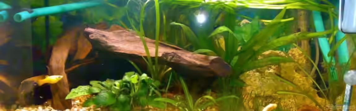 Becken 6539 von Marc Neitzel