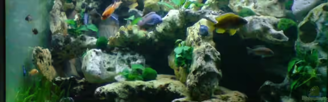 Becken 6558 von Aqua-Man11