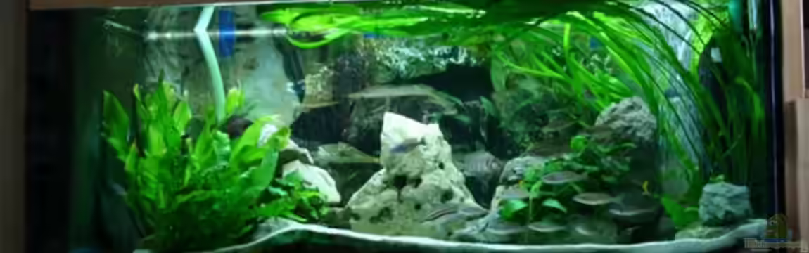 Becken 664 von Christoph Klaus