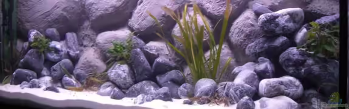 Becken 6641 von breakfastklubber