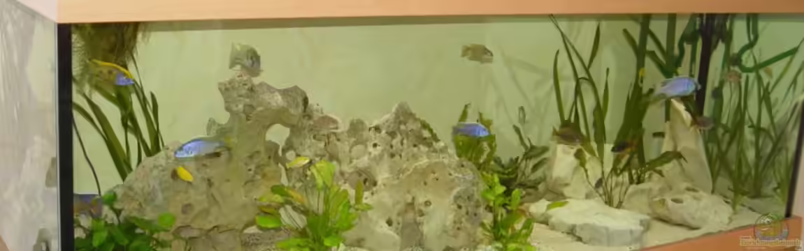 Becken 665 von Gerhard Unruh