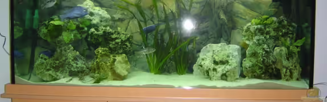 Becken 666 von Heiko Selka