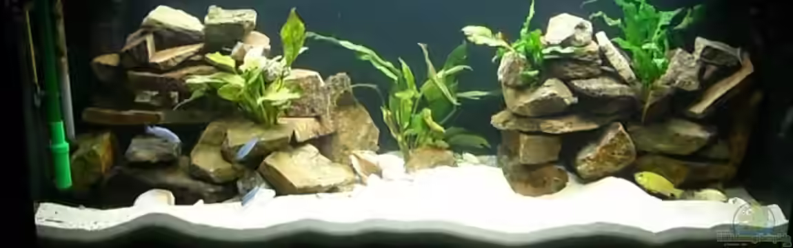 Becken 6688 von P.K.