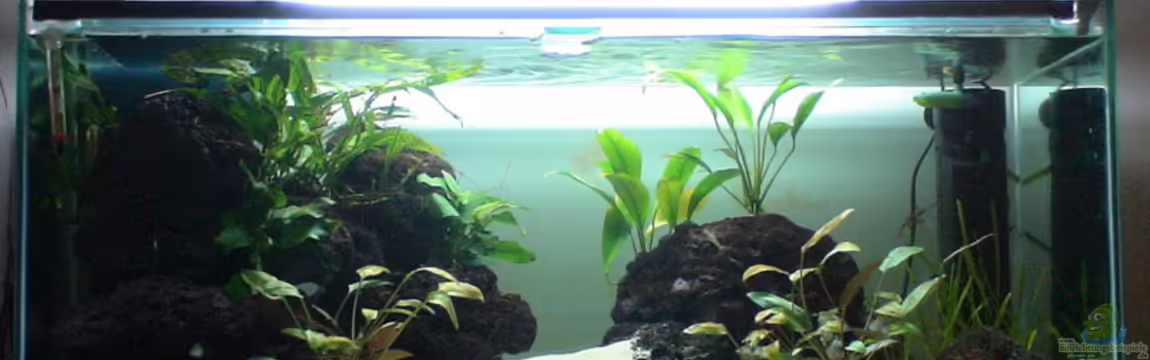 Becken 6698 von Matthias Huber