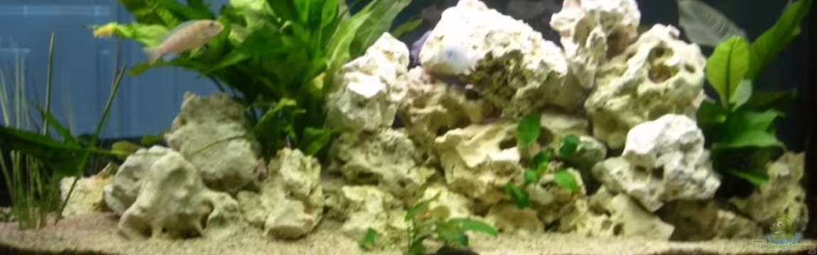 Becken 6700 von Lutz Altepost