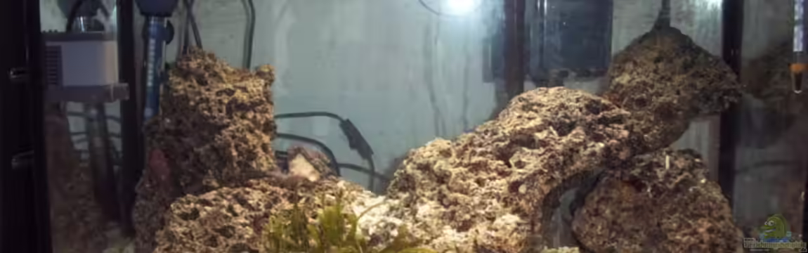 Becken 6753 von Reinhold Graßer