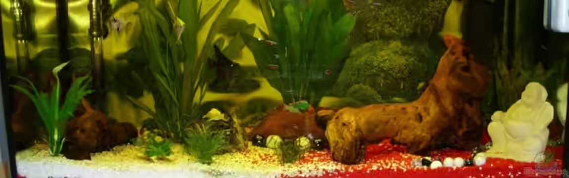 Becken 6818 von Jonas Straßner