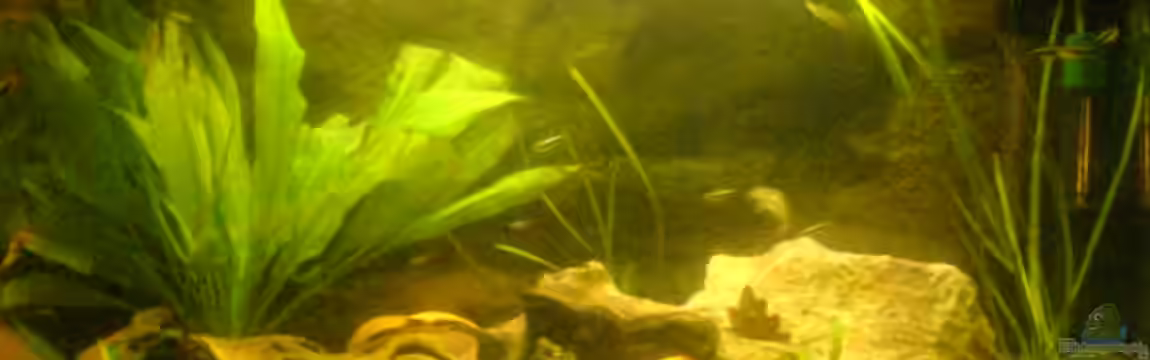 Becken 6841 von Felix Hartmann