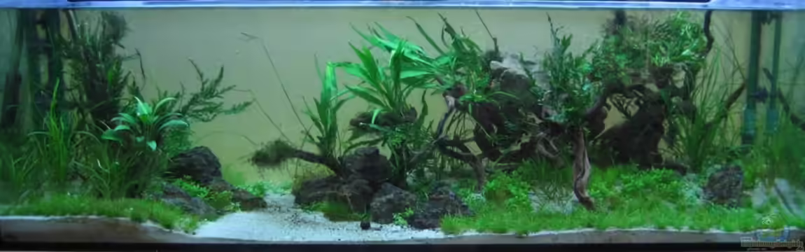 Becken 6850 von Martin Slo.