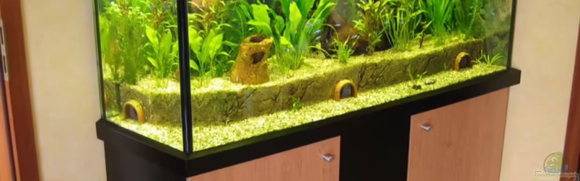 Becken 6858 von Lars Mielke