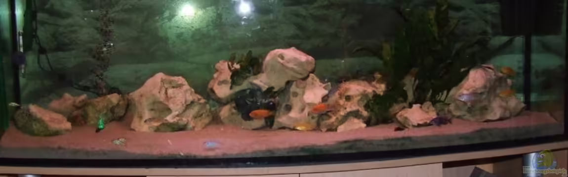 Becken 6862 von Dirk Meurer