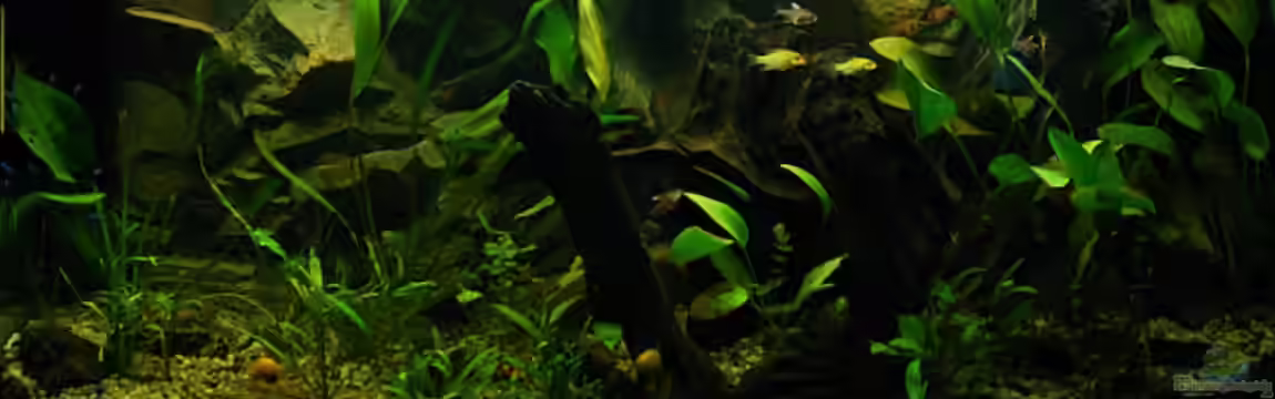 Becken 6864 von Torsten Märtke