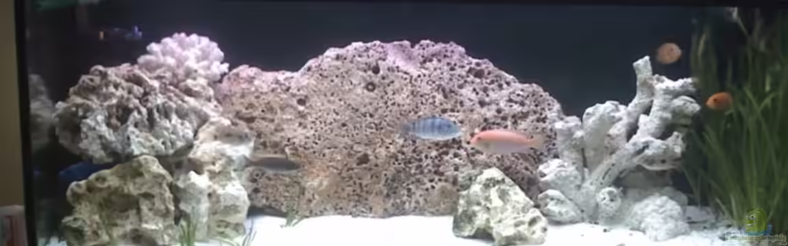 Becken 6881 von Harald Ollenburg