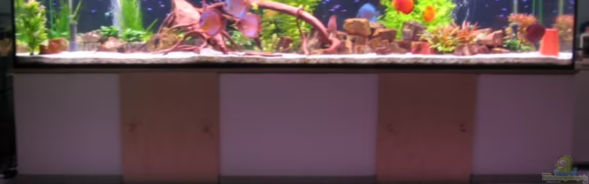 Becken 6900 von Eberhard Brammer