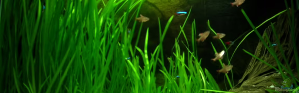 Becken 6929 von Sören Blum