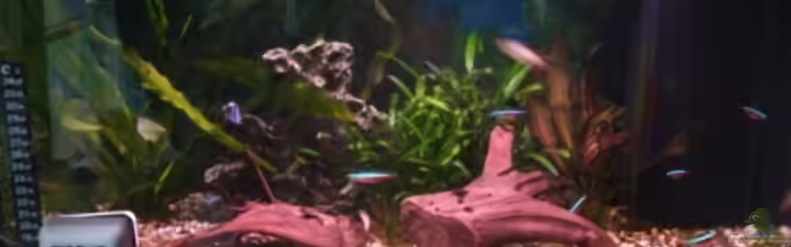 Becken 6943 von Jannik Fromm