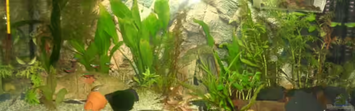 Becken 6964 von Andre Schumacher