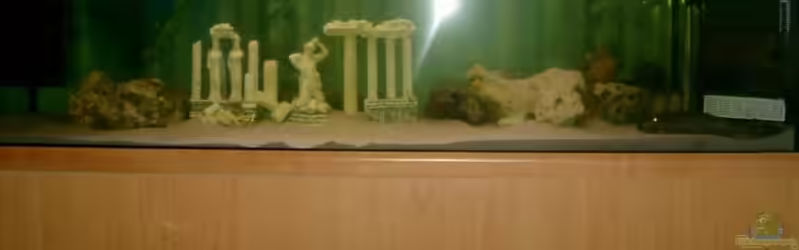 Becken 697 von Bettina Reinschlüssel