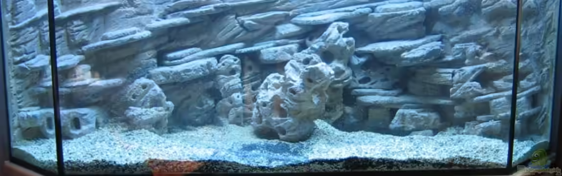 Becken 699 von Marc Schaeffer