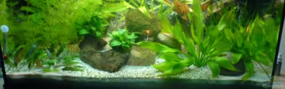 Becken 6996 von Marcel Becker