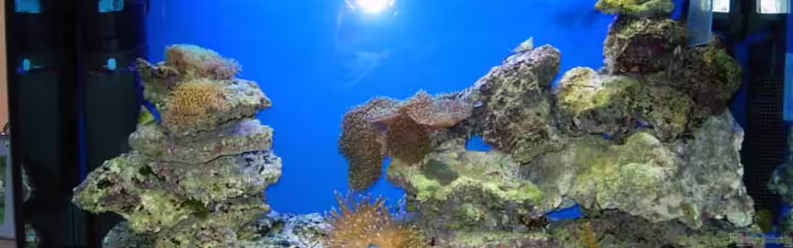 Becken 6998 von Stefan Kamp