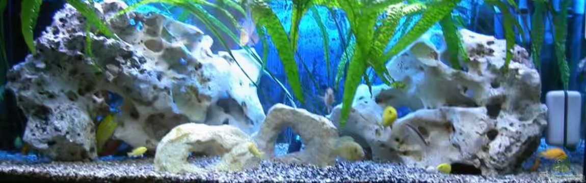 Becken 700 von Andreas Kotte