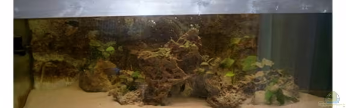 Becken 703 von Philipp Schmid