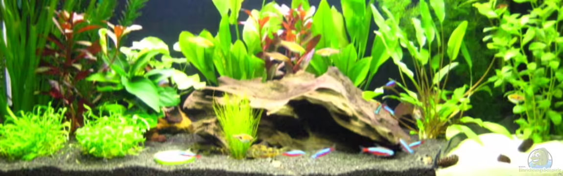 Becken 7048 von -Marcel-