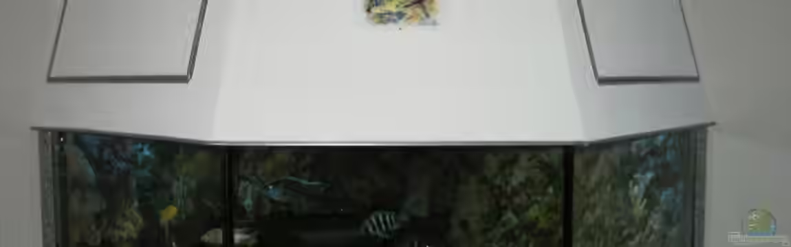 Becken 705 von Dirk Abelshausen