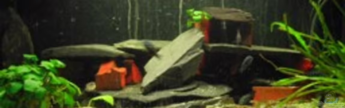 Becken 709 von Hartmut Lauterbach