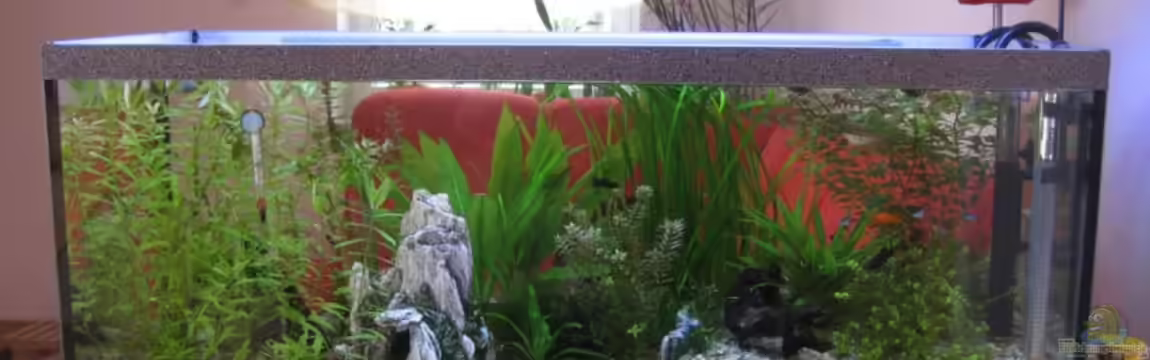 Becken 7137 von Jens Friemel