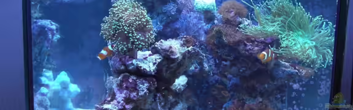 Becken 7190 von Sebastian Zunhammer