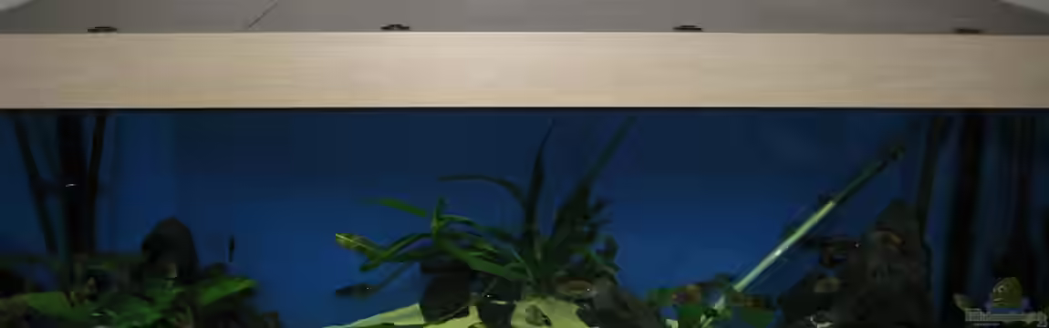 Becken 7284 von Sebastian Klappert